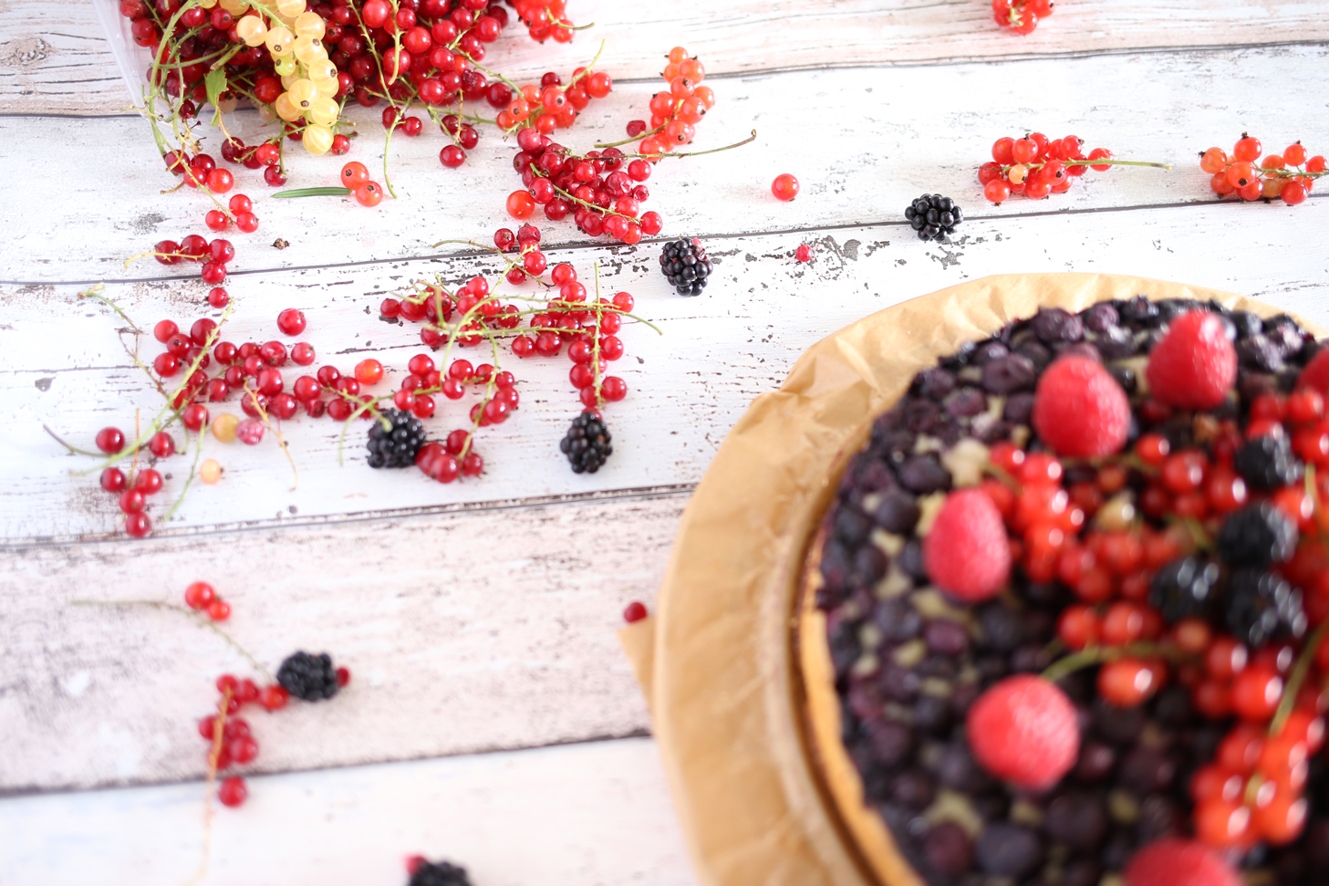 BeerenStark Heidelbeer Buttermilch Kuchen - Pottgewächs