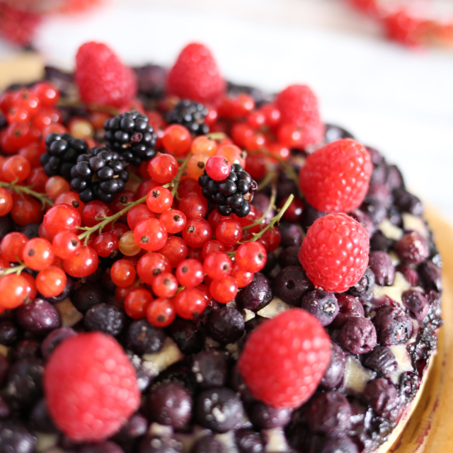 BeerenStark Heidelbeer Buttermilch Kuchen - Pottgewächs