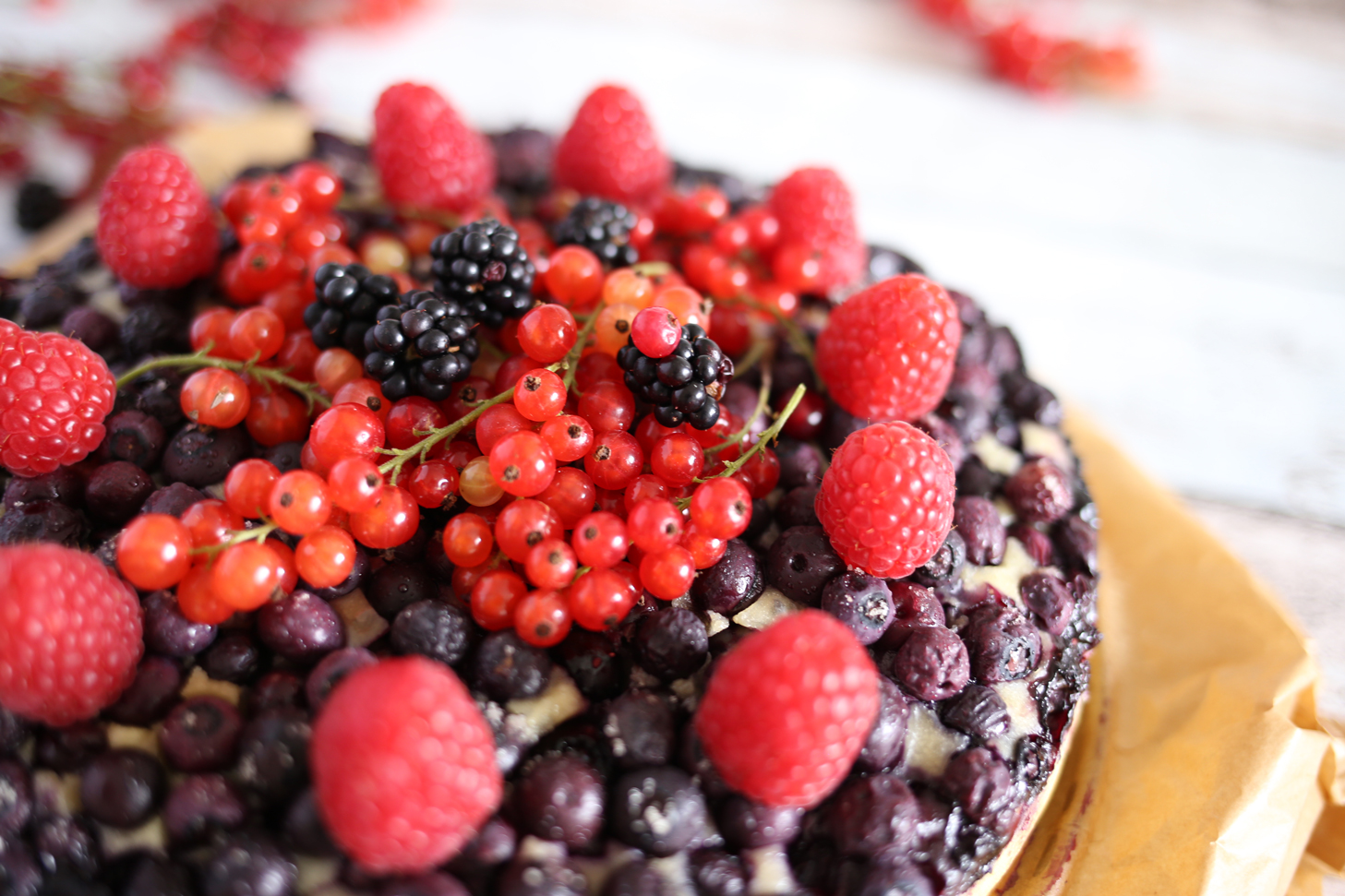 BeerenStark Heidelbeer Buttermilch Kuchen - Pottgewächs