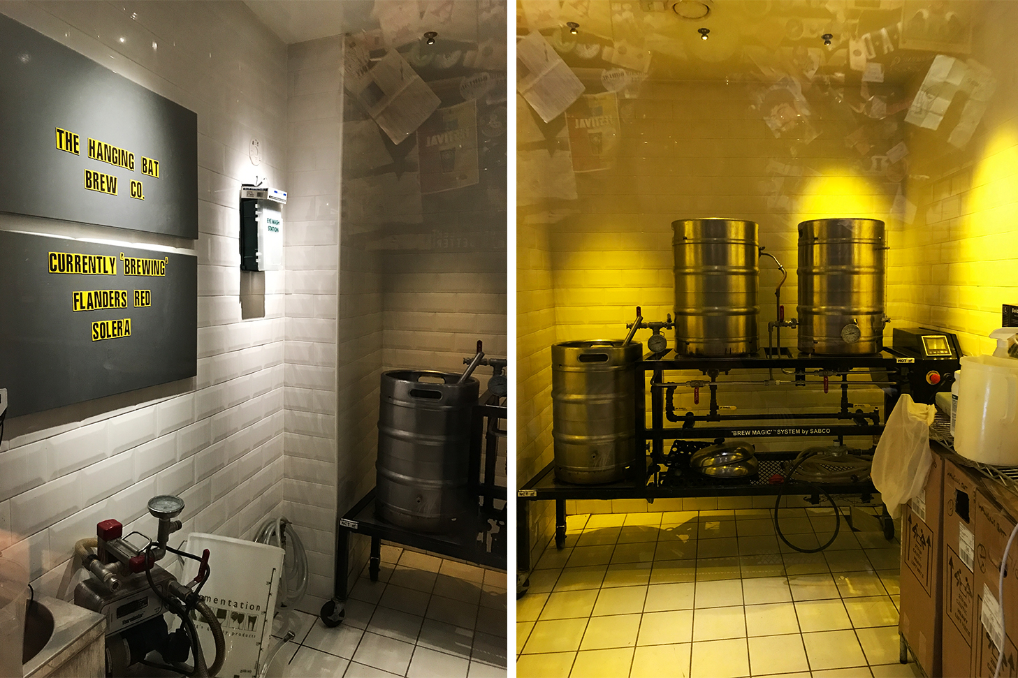 The Hanging Bat_2 Pottgewächs